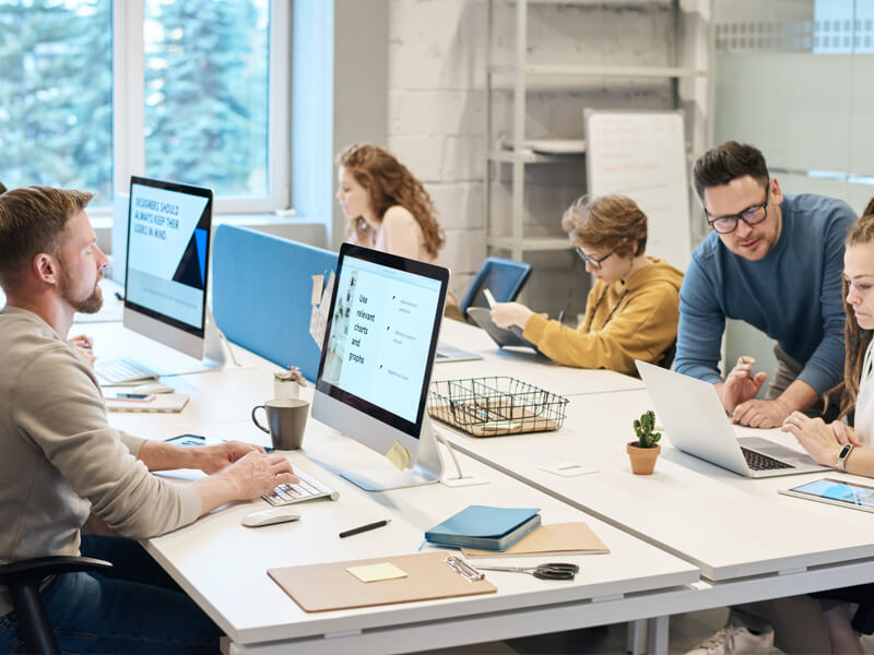 Custom Software Development